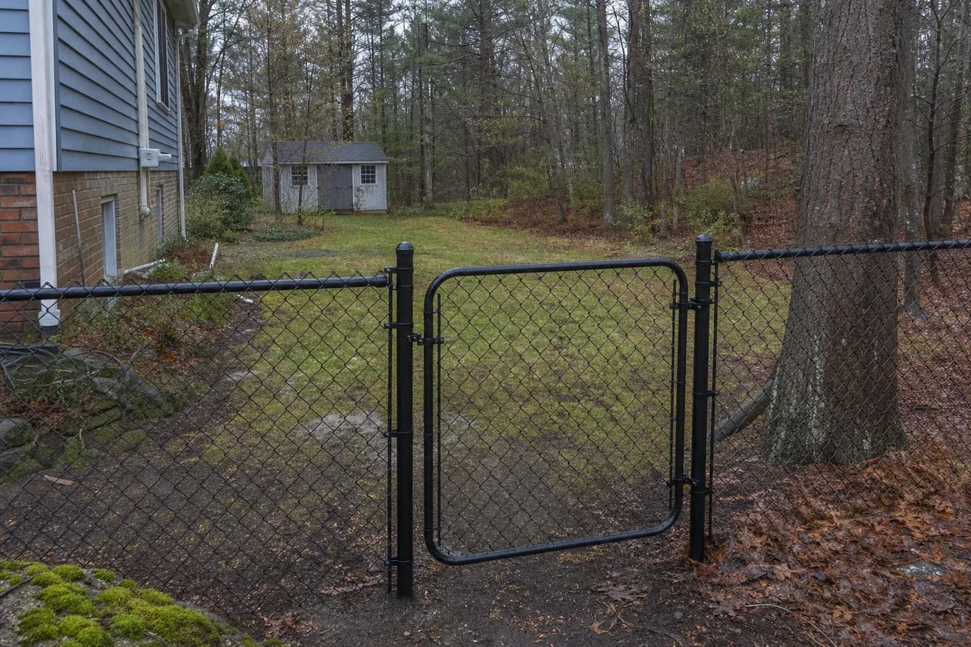 Black coated chain-link fence and gate enclosing a wooded residential side yard