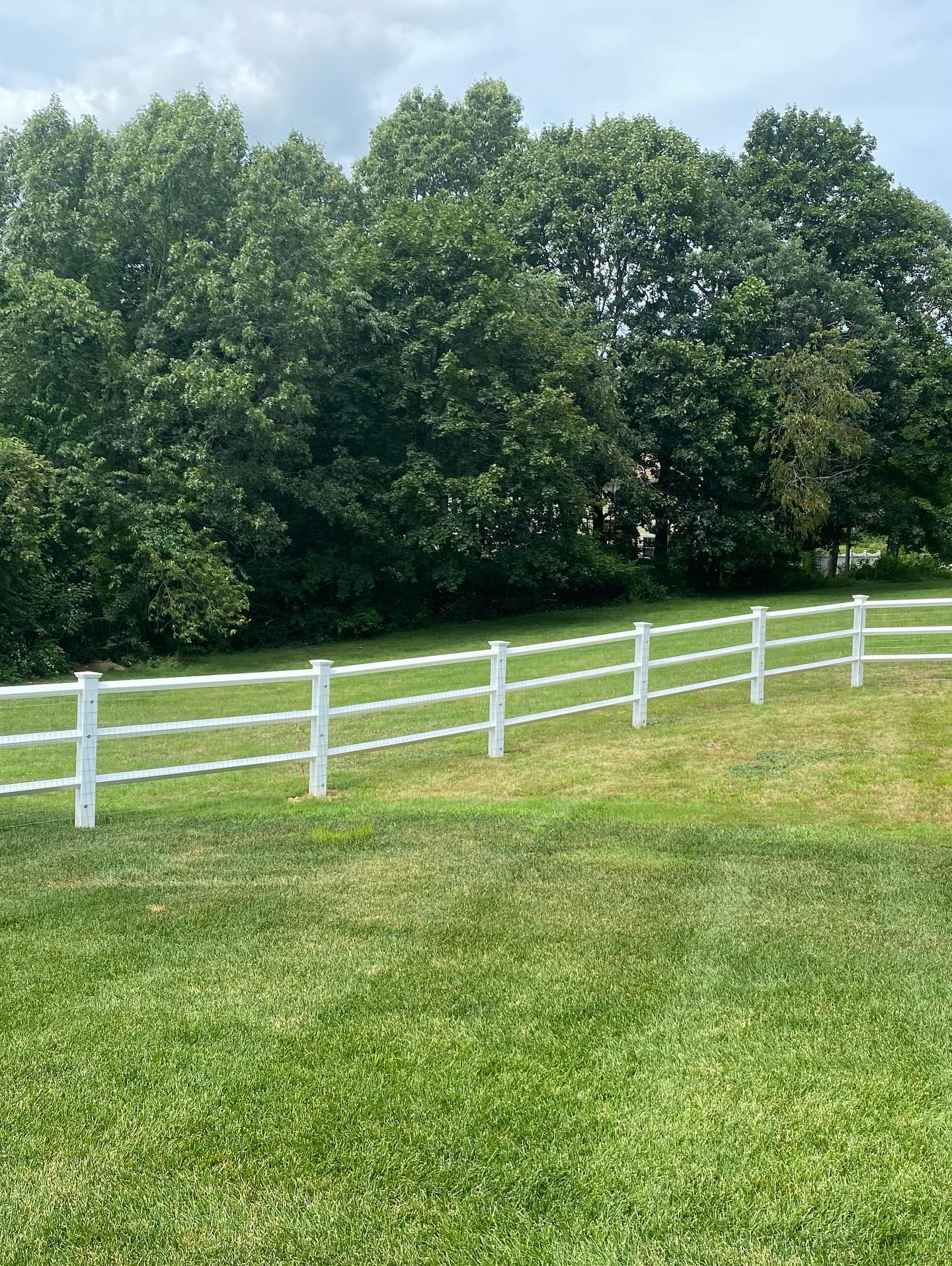 Natick's Vinyl Diamond Rail Elegance
