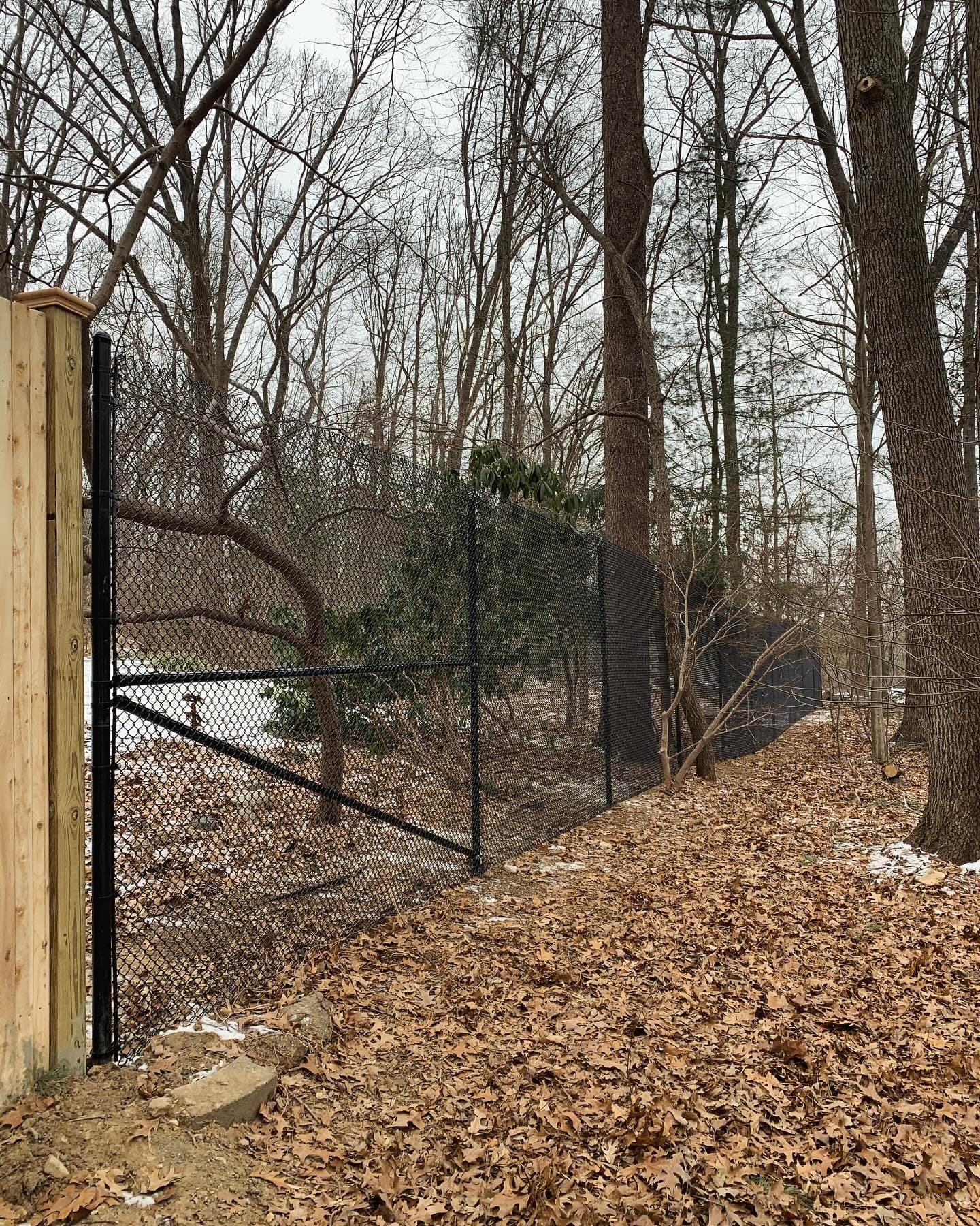 Natick's Pet-Proof Mini-Mesh Security